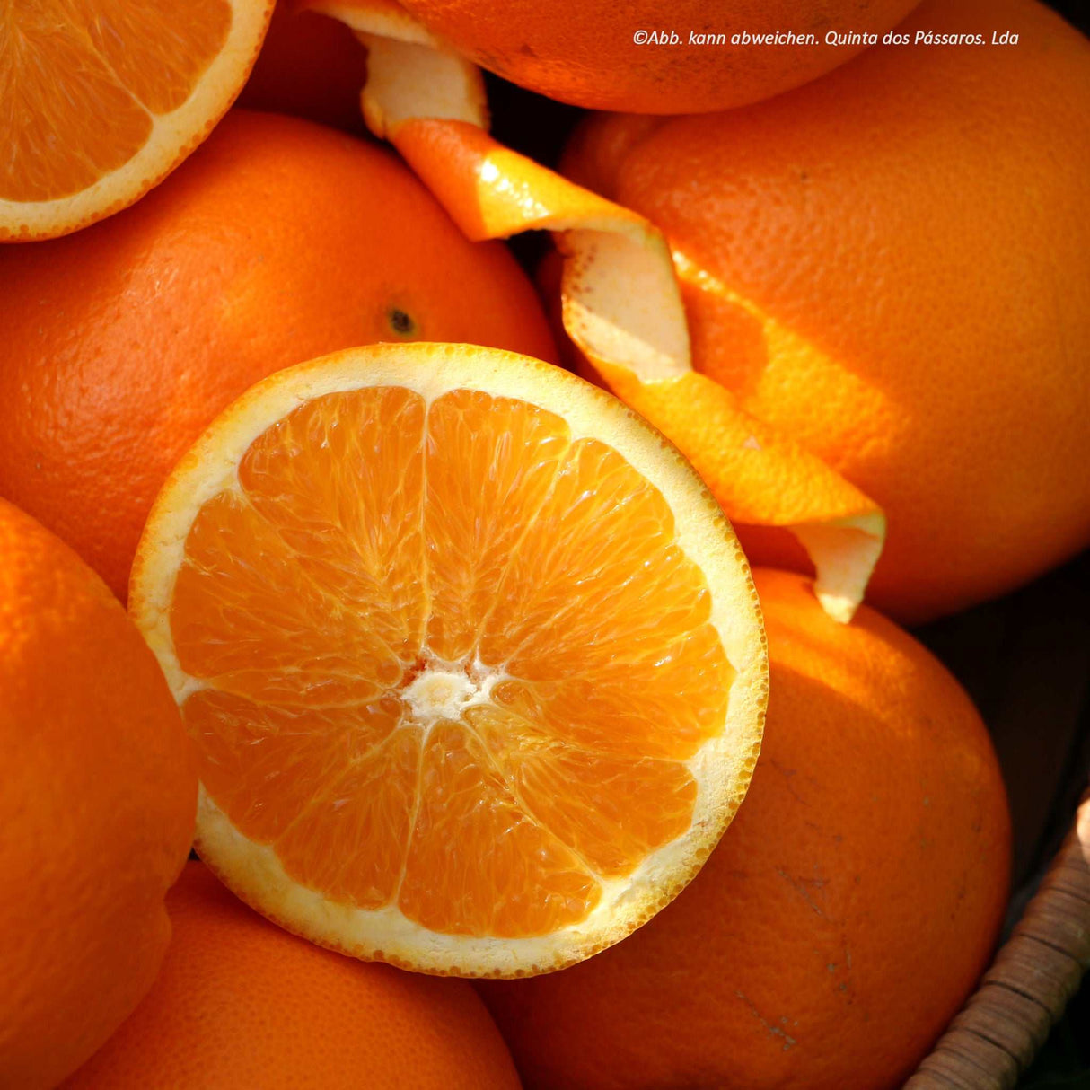 Navel Orangen / Laranja, Kg