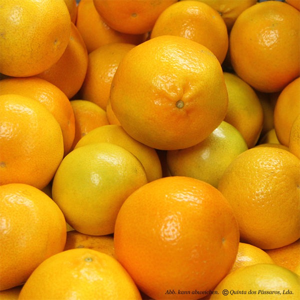 Mandarinen Monreales