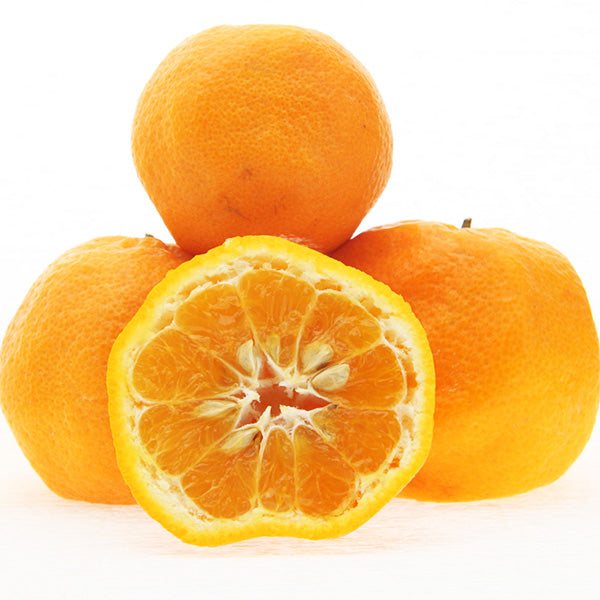 Tangerines Monreales / Mandarinas, Kg