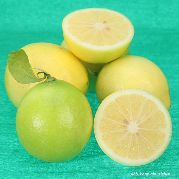 Zitronen offen