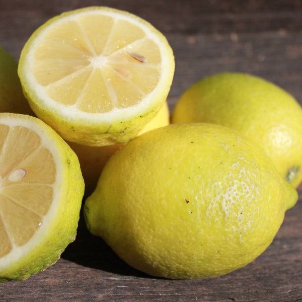 Süß-Zitronen