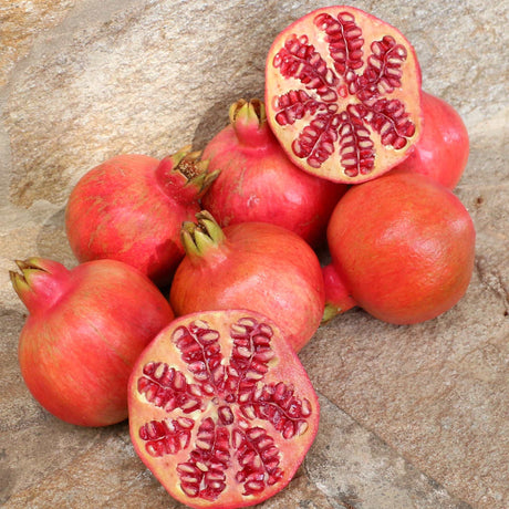 Granatäpfel AnfangSept.