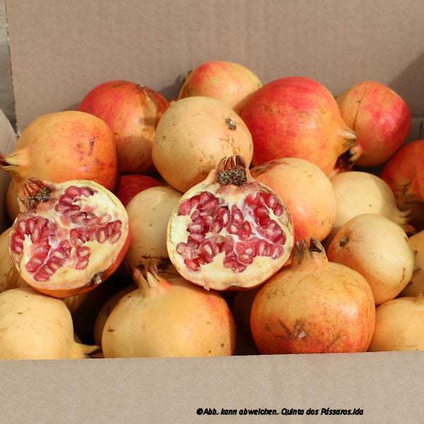 Granatäpfel rustica / Caixa de romãs, 5 kg BOX