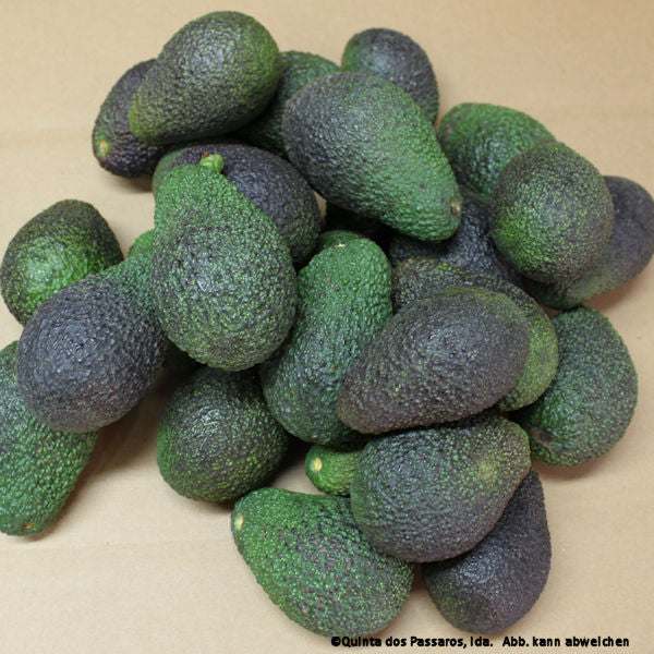 Avocados Hass mehrere