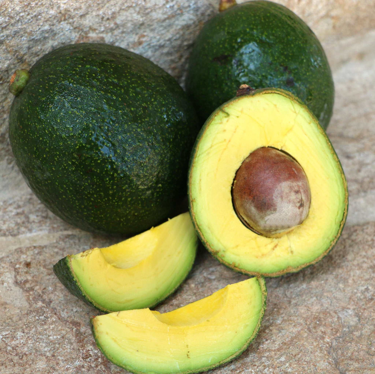 Avocados Reed Stücke