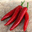 Peperoni