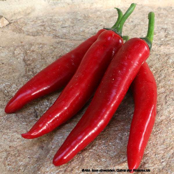 Peperoni