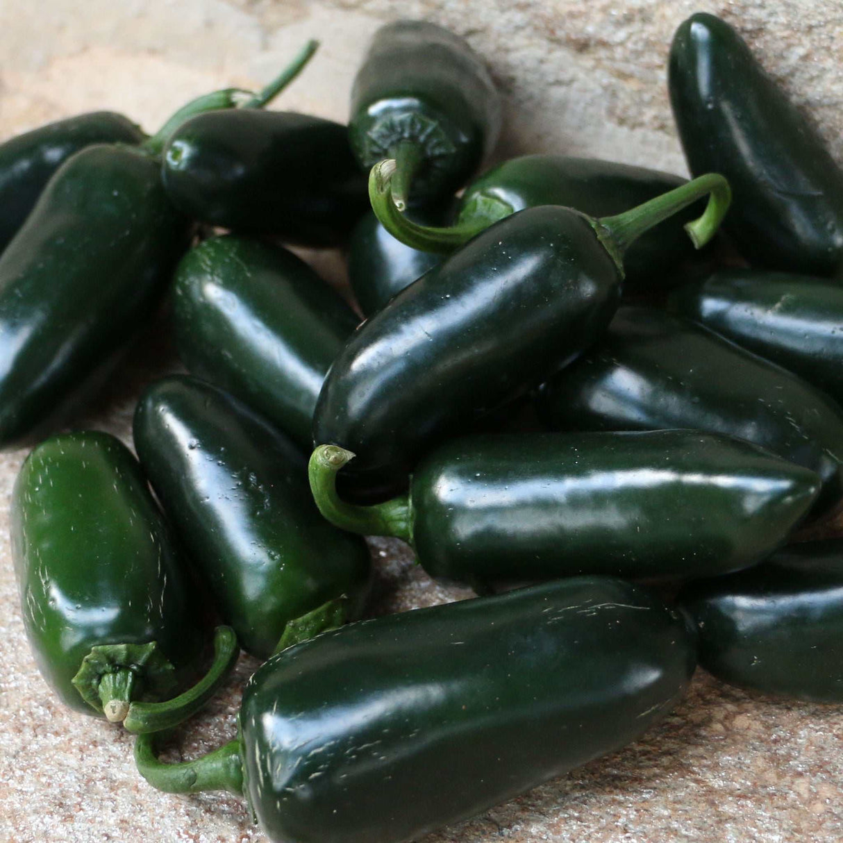 Grüne Jalapeños