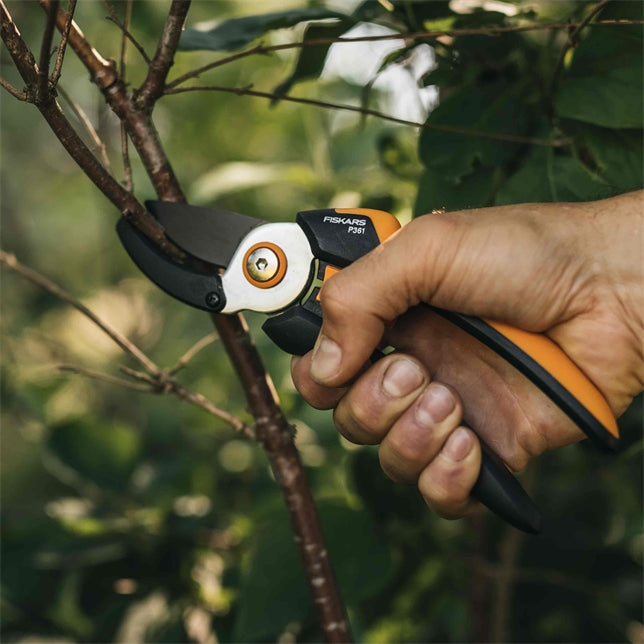 Amboss Gartenschere Baum