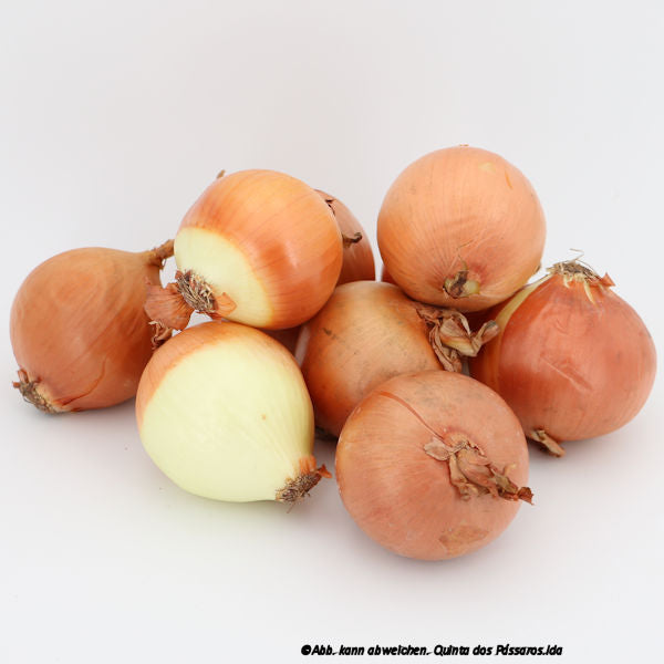 Zwiebeln hell / Cebola nova, Kg