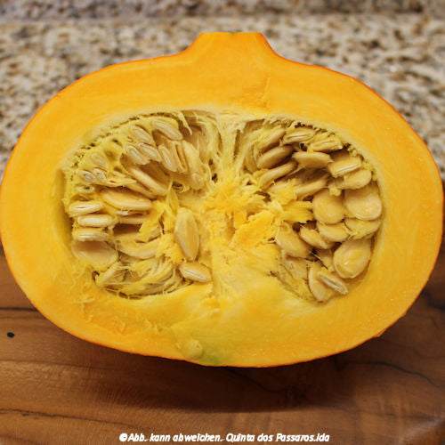 Hokkaido-Kürbis offen