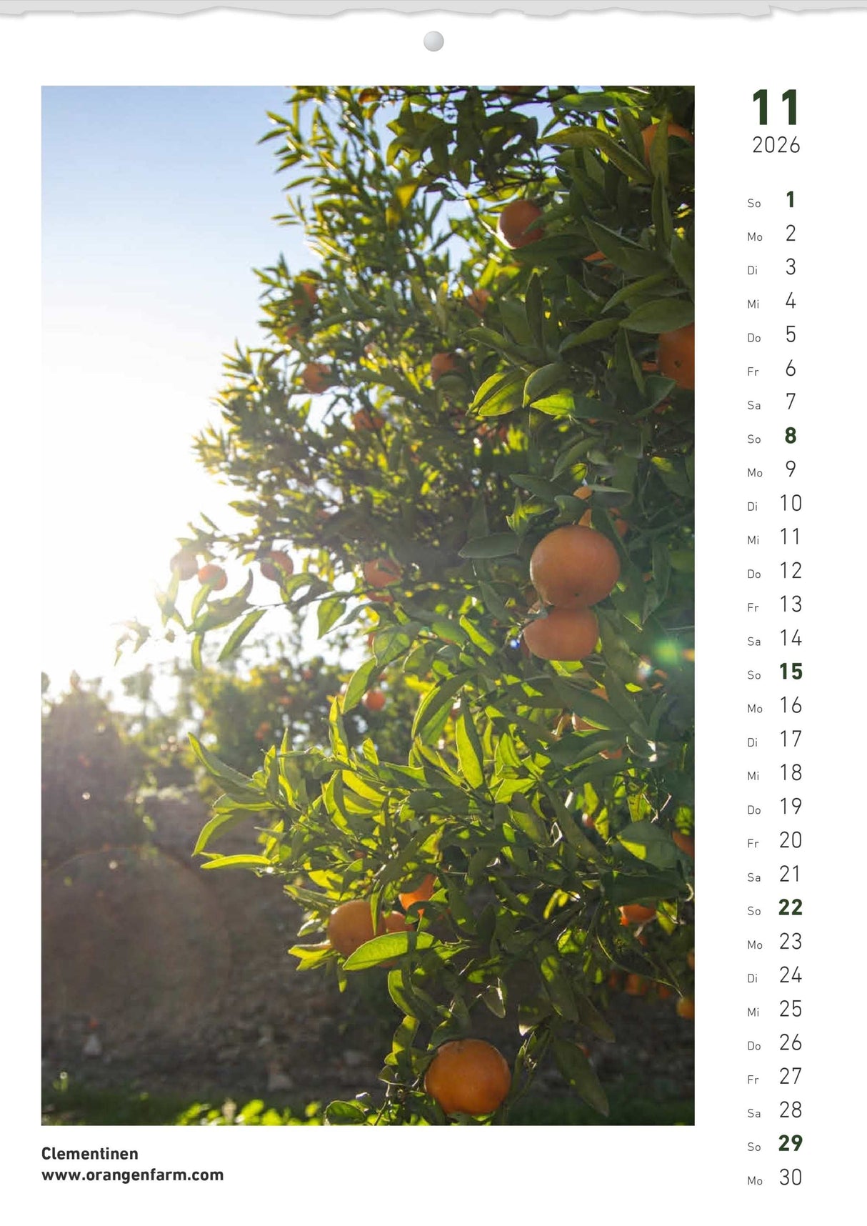 Quinta Montaskalender 2026 November