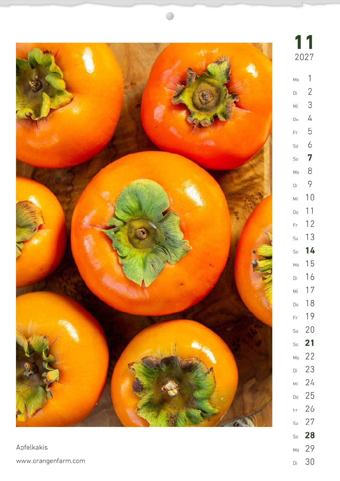 Monatskalender 2027 November
