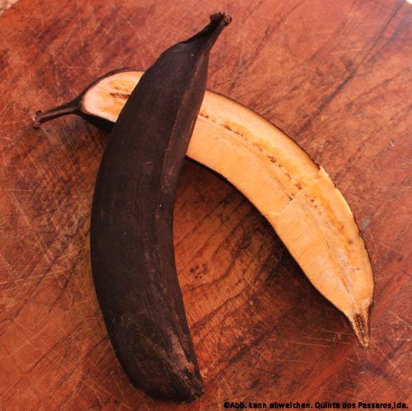 Kochbananen dunkel