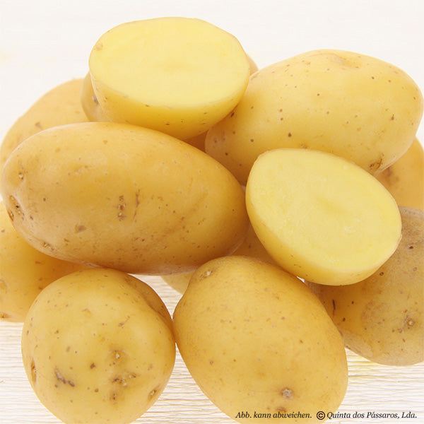 Kartoffeln junge kleine aufgeschnitten