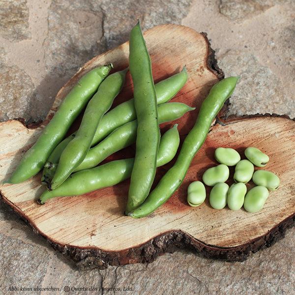 Broad beans, broad beans / favas, unidade