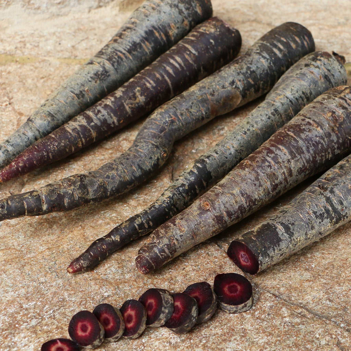 Karotten lila aufgeschnitten