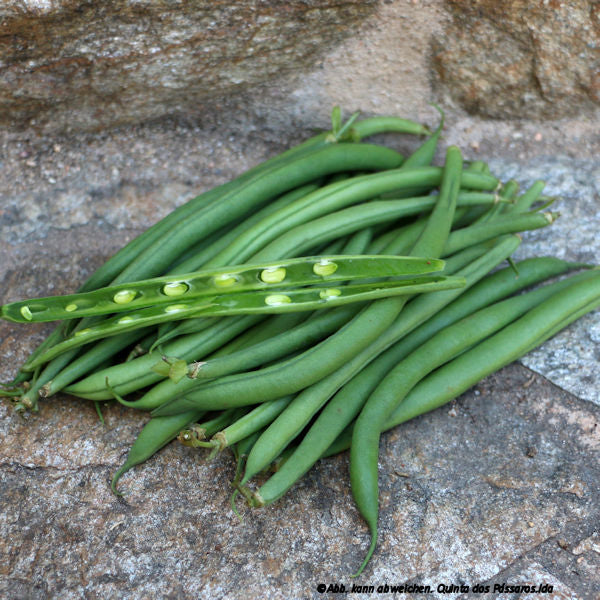 Princess beans / Feijão francês, unidade