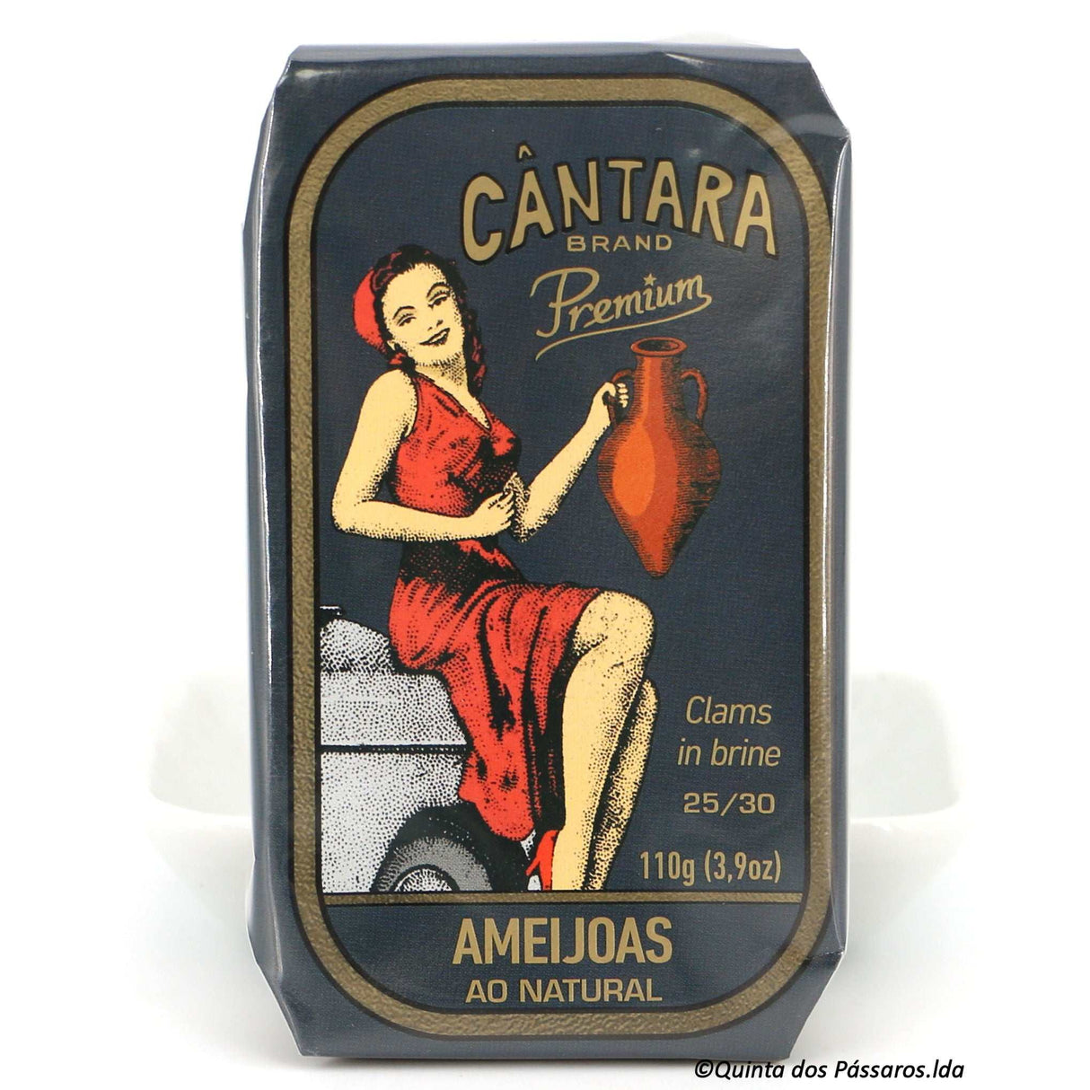 Venusmuscheln in Salzwasser