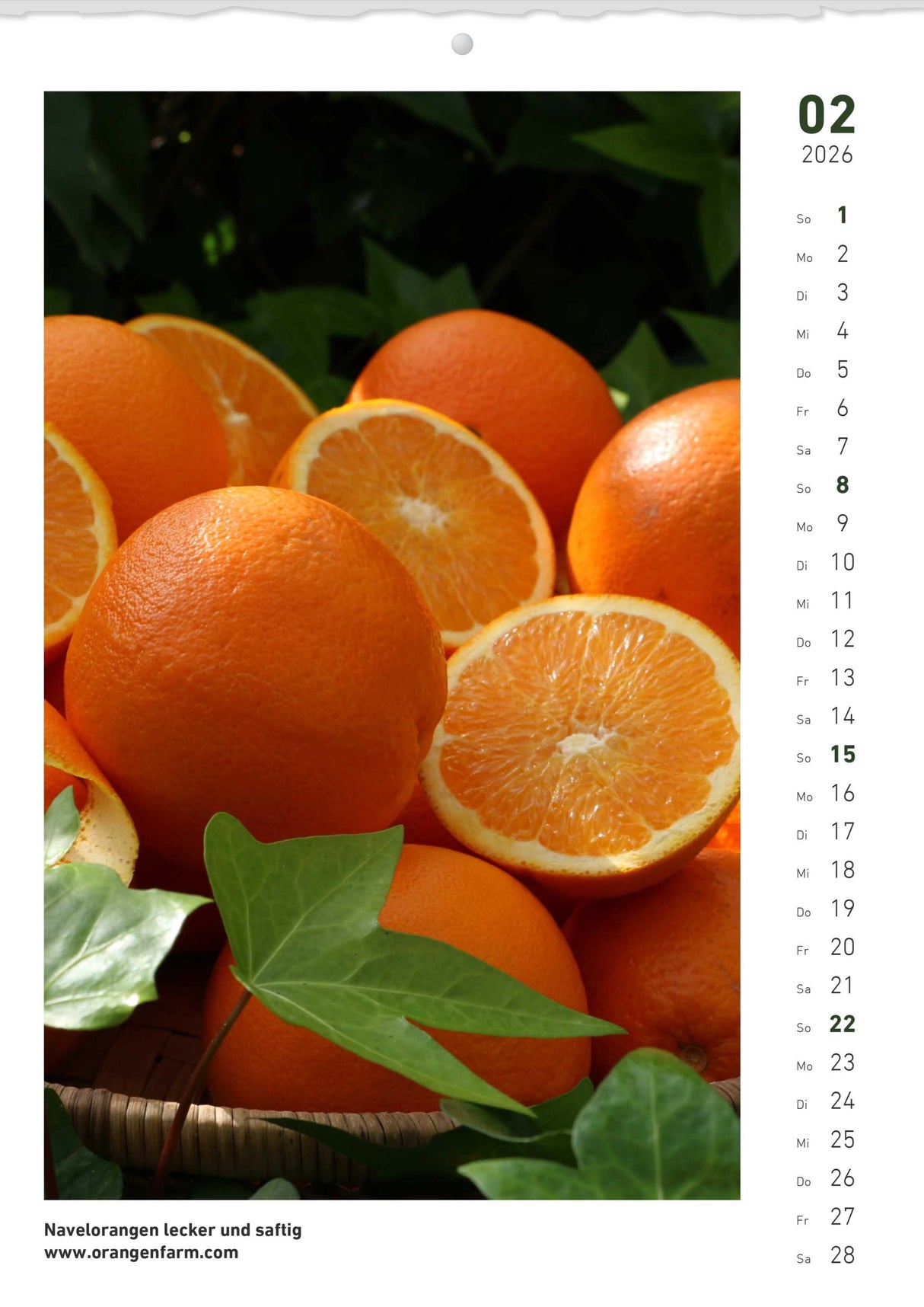 Quinta Montaskalender 2026 Februar