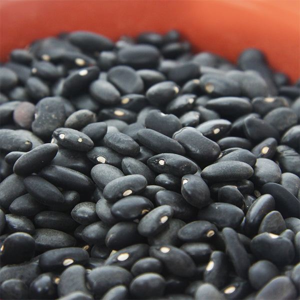 Bohnen getrocknet, schwarz / Feijão preto seco, 500g