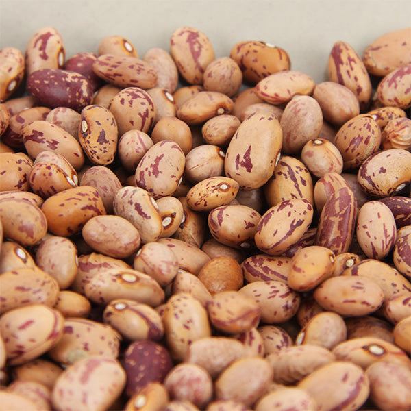 Bohnen getrocknet, Cranberrybohnen / Feijão catarino seco, 500g