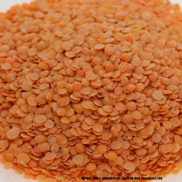 Lentils red / Lentilhas vermelhas, 500g