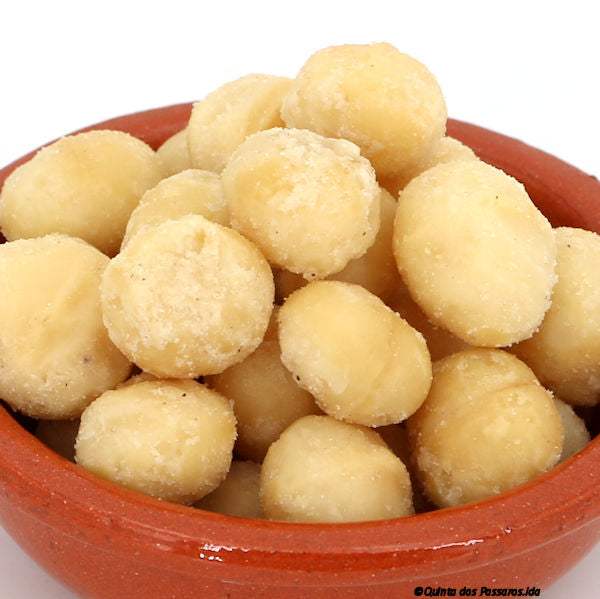 Macadamia Nusskerne geröstet & gesalzen
