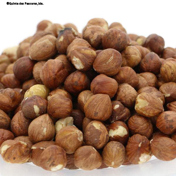 Haselnusskerne ohne Schale mit Haut