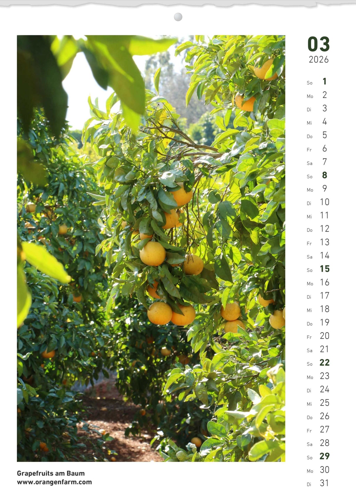 Quinta Montaskalender 2026 März