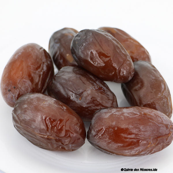 Datteln Medjool