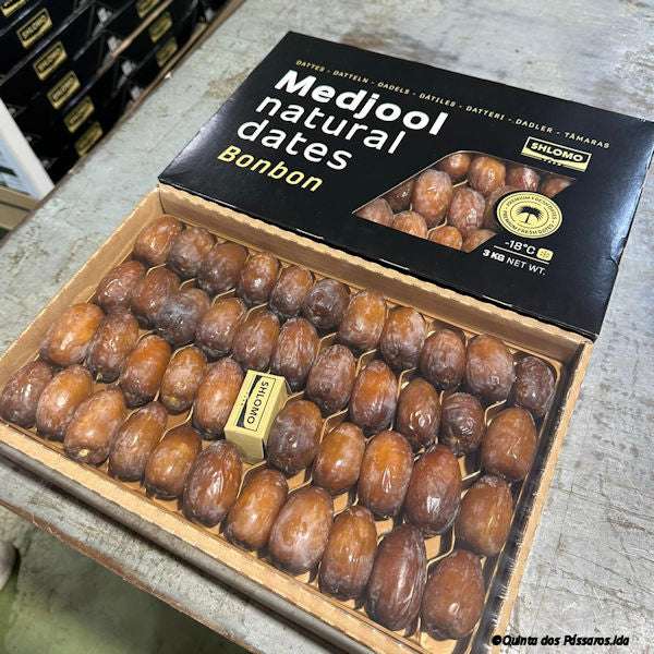 Datteln in Box