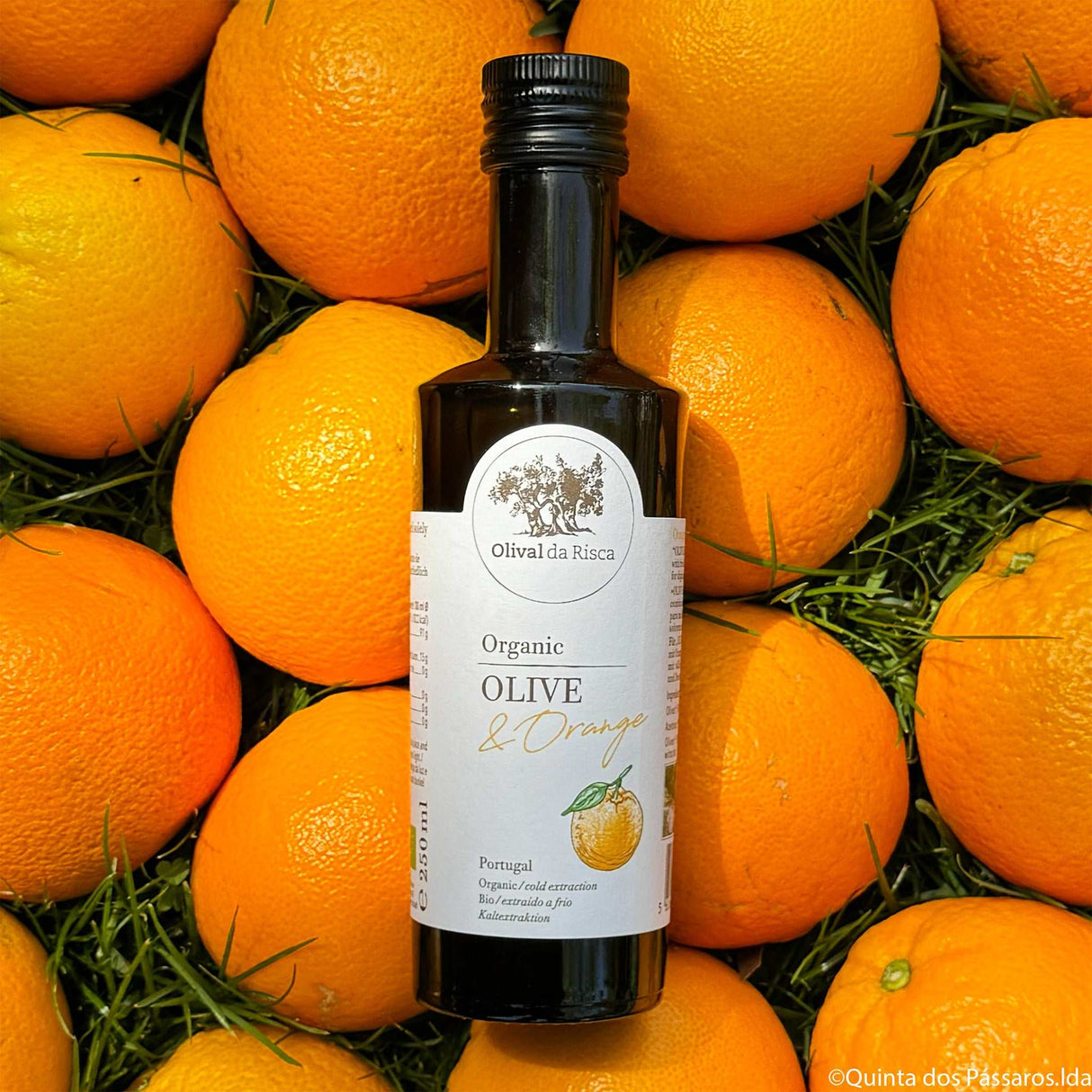 Olivenöl BIO ORANGEOlival da Risca auf Orangen