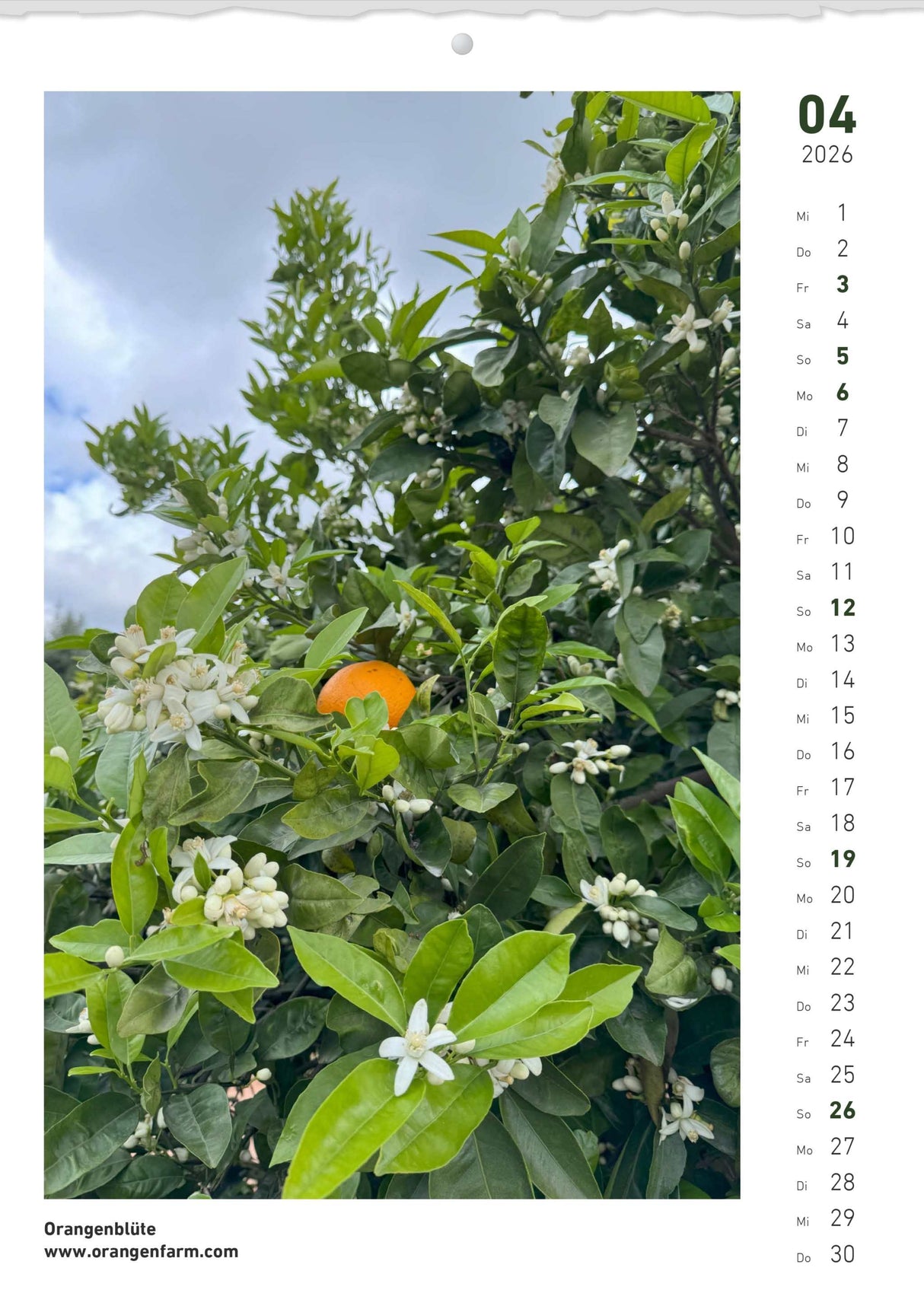 Quinta Montaskalender 2026 April