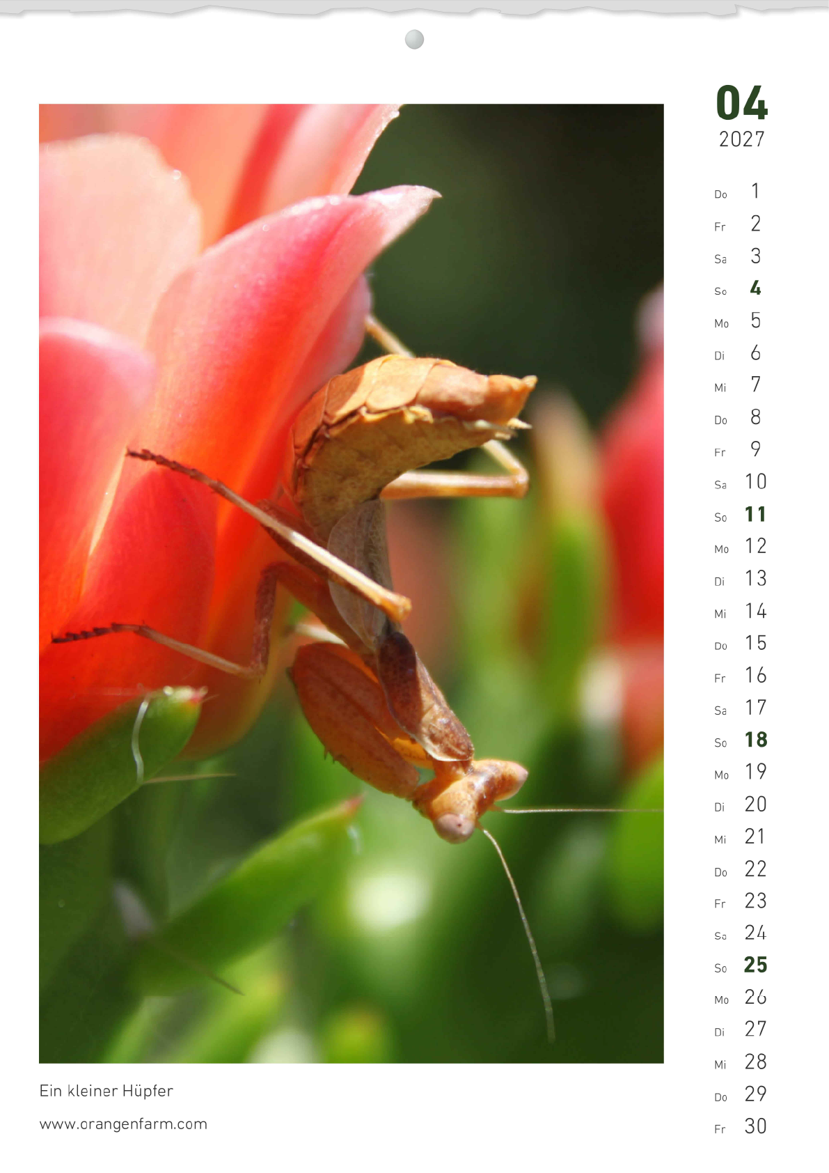 Monatskalender 2027 April