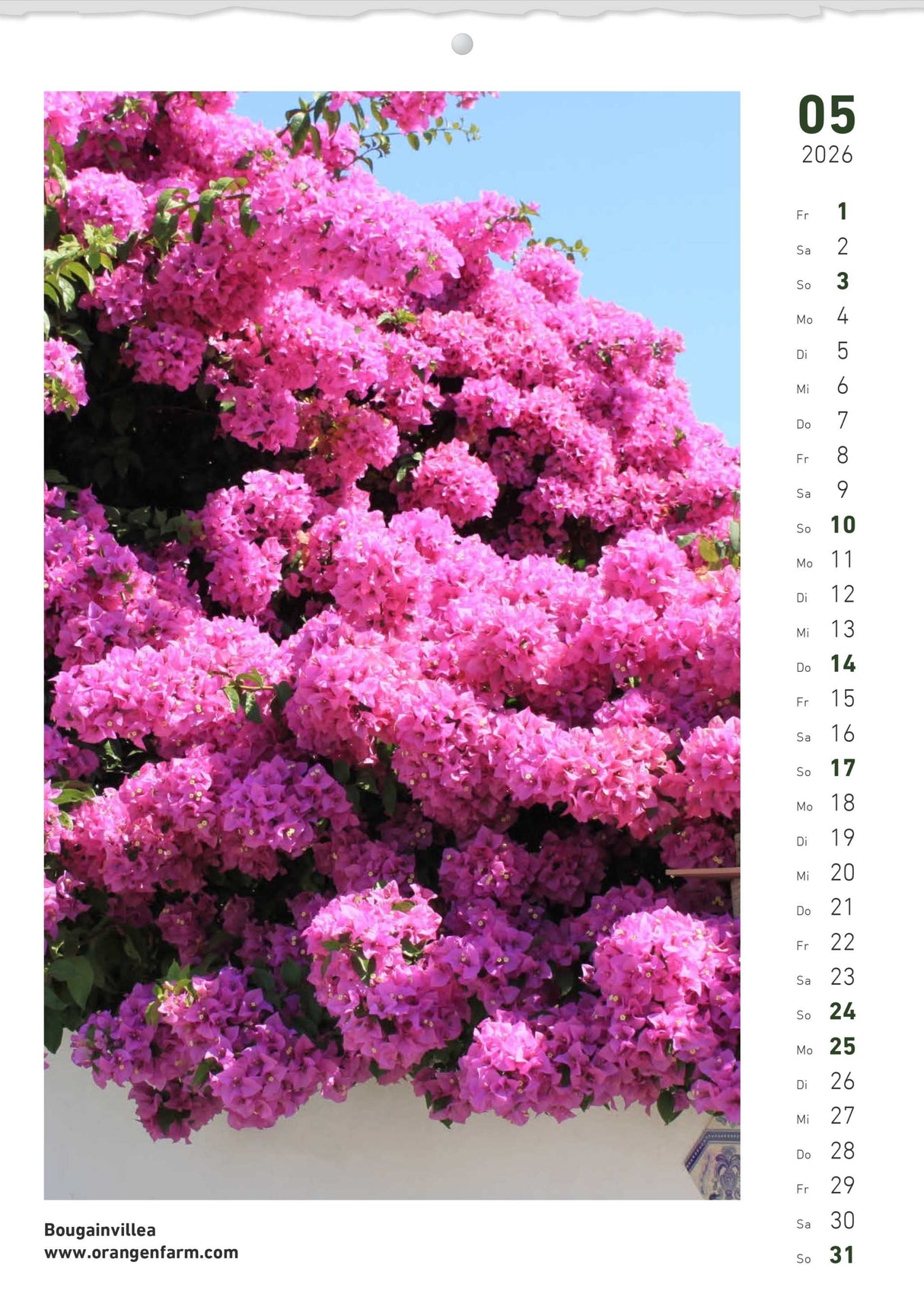 Quinta Montaskalender 2026 Mai