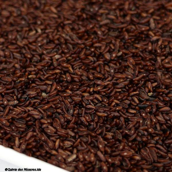 Whole psyllium / Psyllium inteiro, 250g