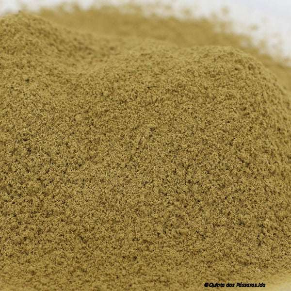 Oregano gemahlen