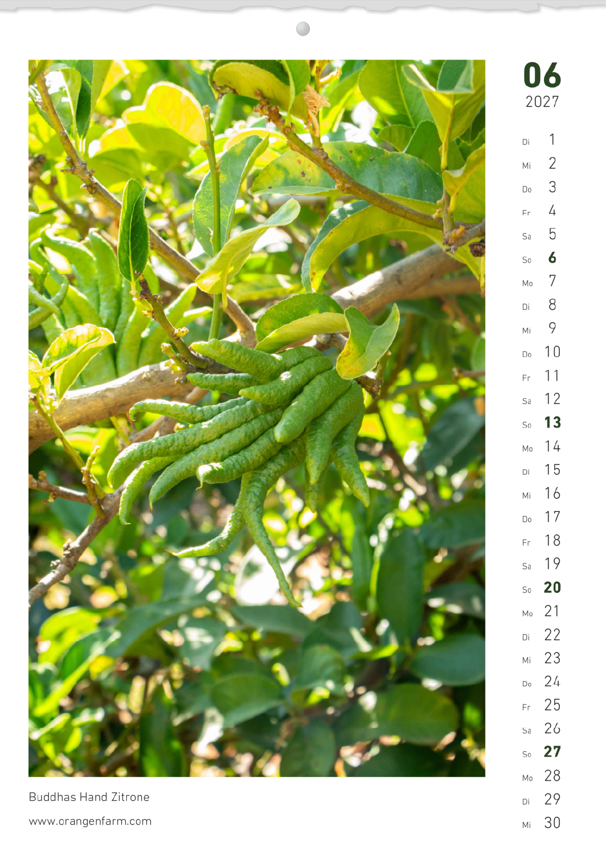 Monatskalender 2027 Juni