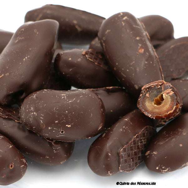 Datteln Deglet Nour mit Zartbitterschokolade