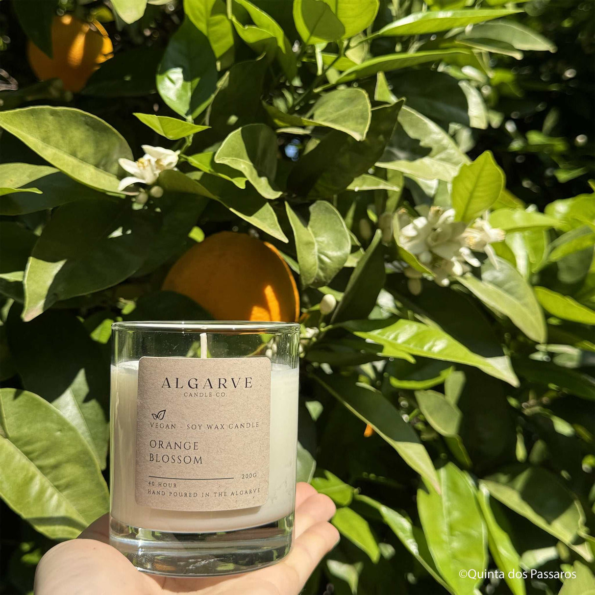 Duftkerze Orangenblüte beim Baum