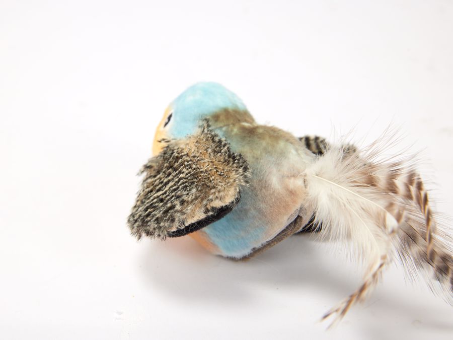 Katzenspielzeug blauer Vogel mit Katzenminze hinten