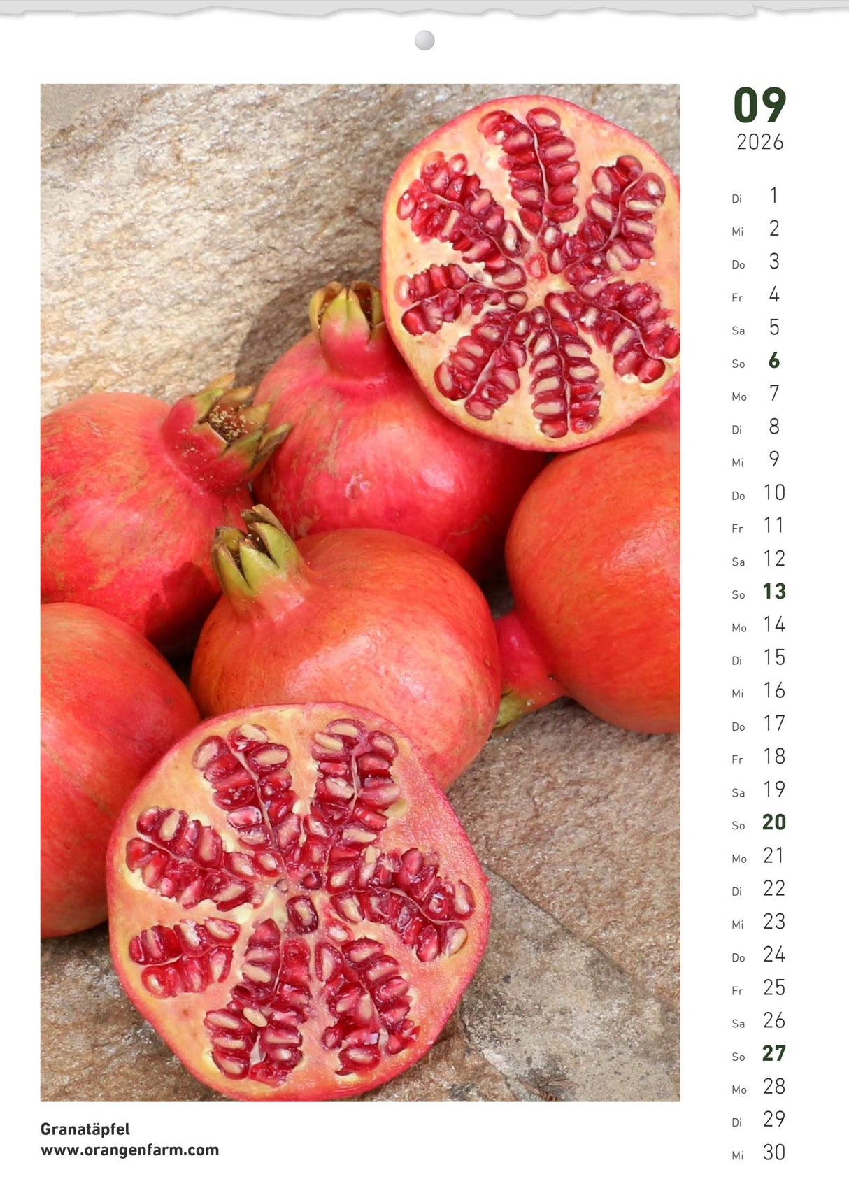 Quinta Montaskalender 2026 September