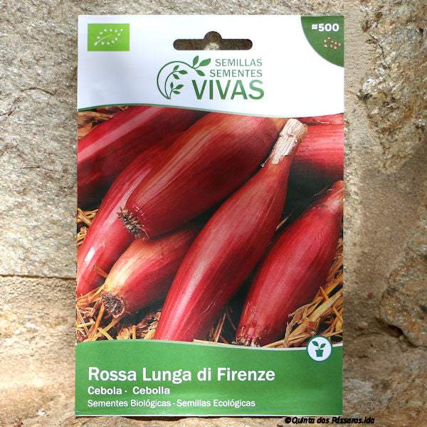 Zwiebeln Rossa Lunga di Firenze Saatgut