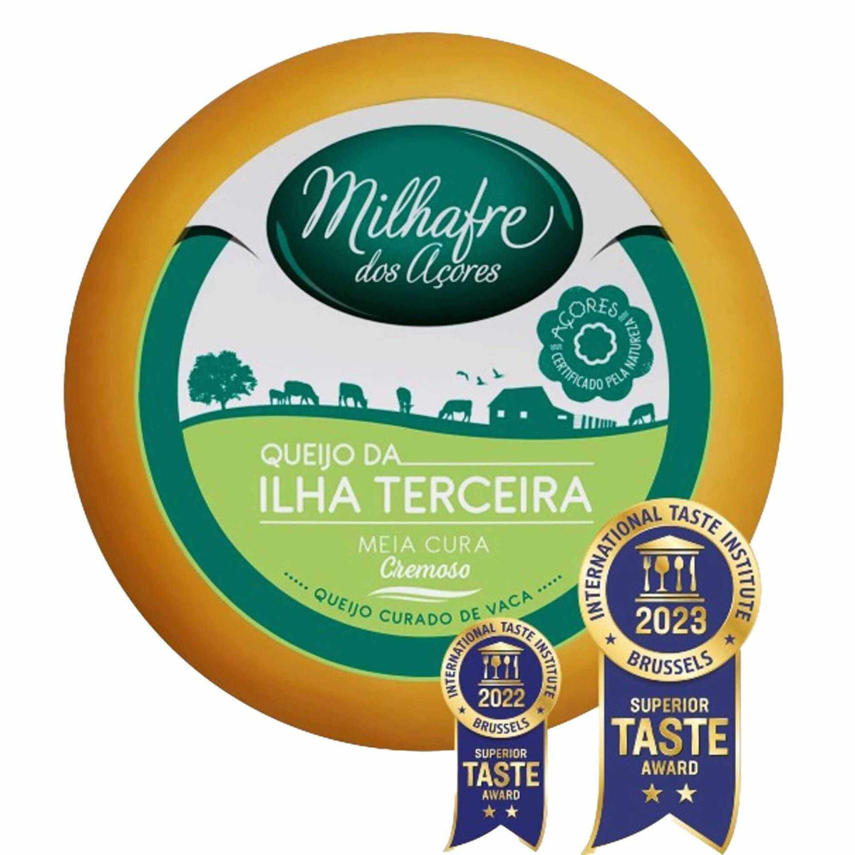 Butter Käse aus Kuhmilch