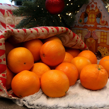 Orangen zu Weihnachten
