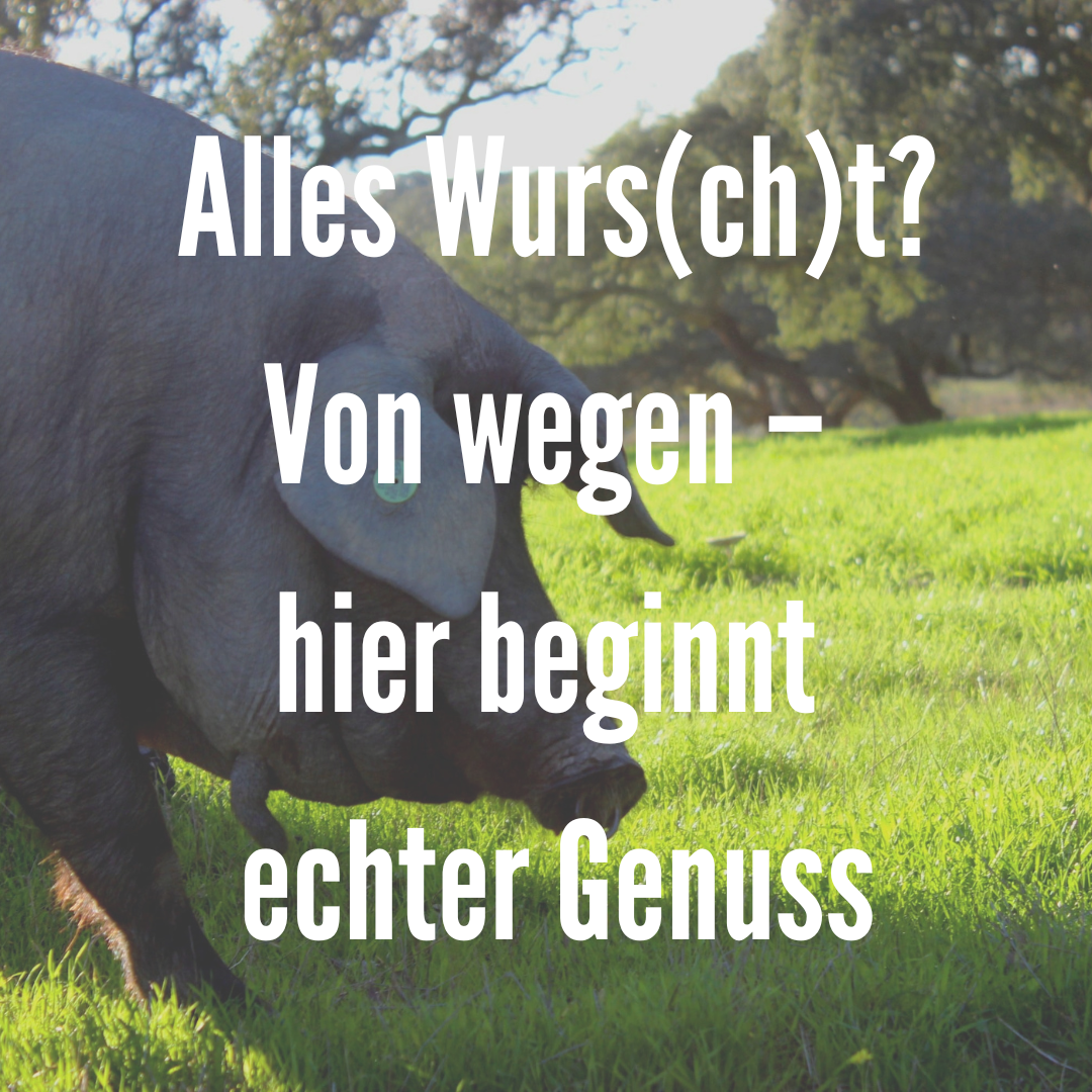 Alles (Wurs(ch)t Woche
