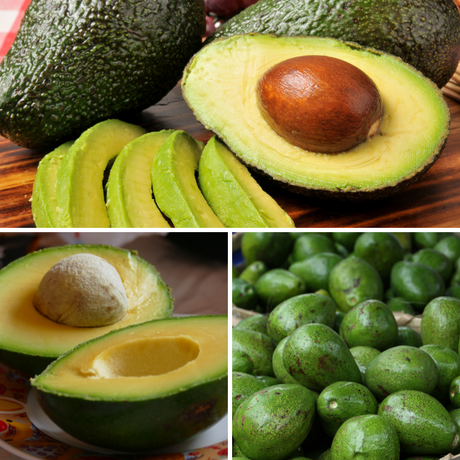 Avocadowoche
