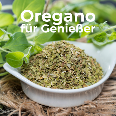 Oregano