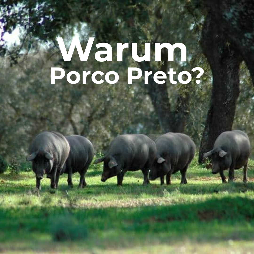 Warum schwarzes Schwein